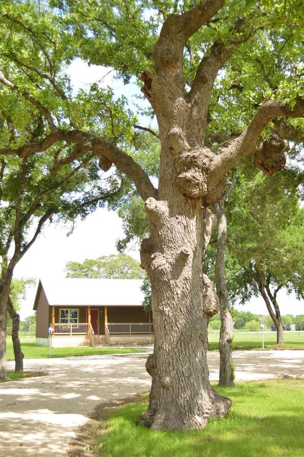 Vineyard Trail Cottages- Adults Only Fredericksburg Kamer foto